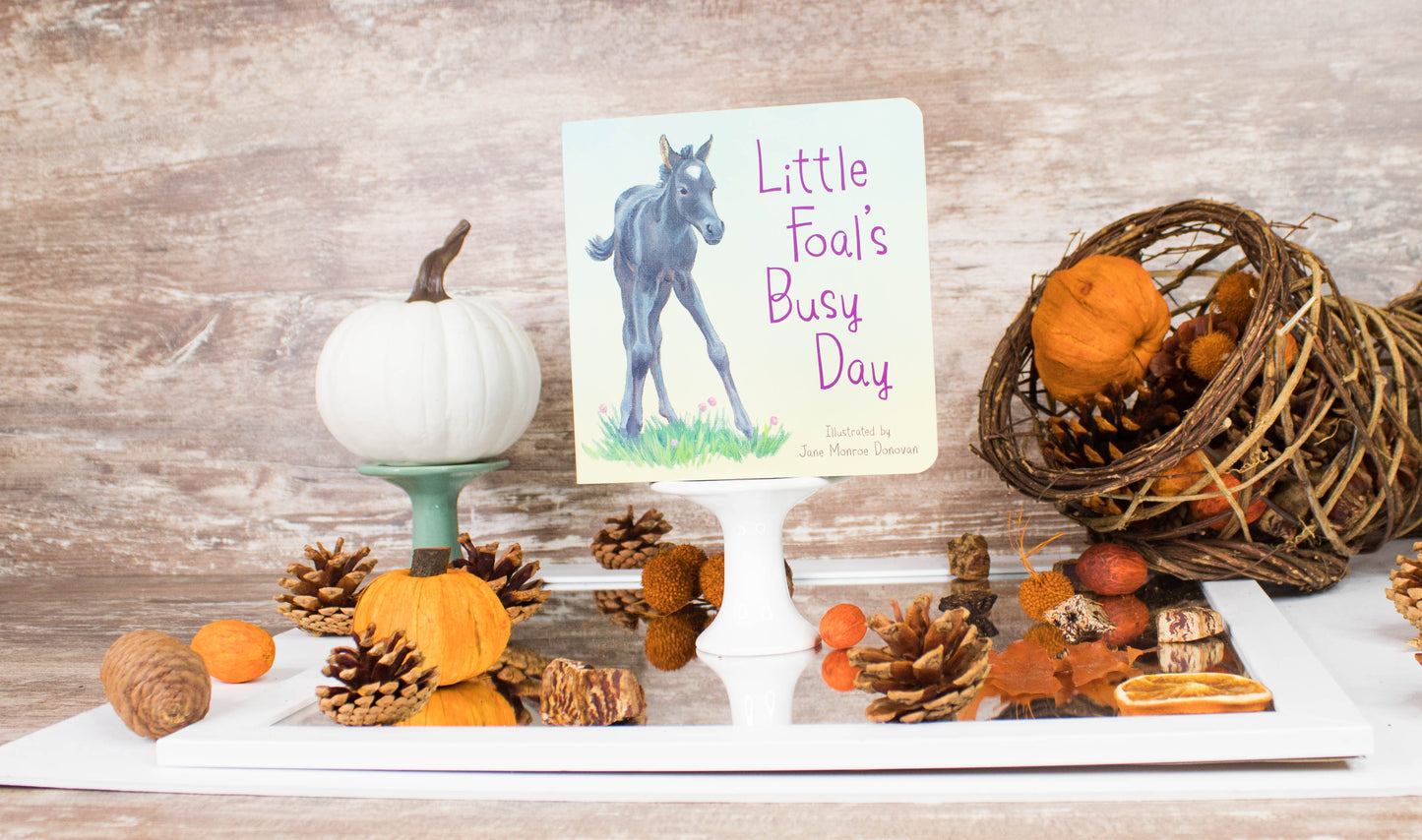 Little Foal's Busy Day